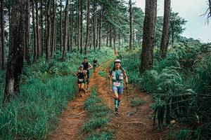 BIB: 
                            <button type="button" onclick="openModal(25708928)" class="btn btn-primary btn-sm float-right btn-popup" data-toggle="modal" data-target=".modal-high-quality">
                        <i class="fas fa-shopping-cart"></i> Add to Cart
                    </button>
                                            <button type="button" onclick="isThisMe(25708928, true)" class="btn btn-success btn-sm float-right btn-popup btn-isme hidden" data-toggle="tooltip" data-placement="bottom" title="นี่คือรูปของคุณใช่ไหม คลิกที่นี่เพื่อเอาเข้าอัลบั้ม">
                        <i class="fas fa-plus"></i> Add to album
                    </button>
                    <button type="button" onclick="isThisMe(25708928, false)" class="btn btn-warning btn-sm float-right btn-popup btn-isnotme hidden">
                        <i class="fas fa-ban"></i> Remove from album
                    </button>